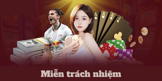 Chi tiết về chính sách miễn trách nhiệm W388 cho những ai chưa biết