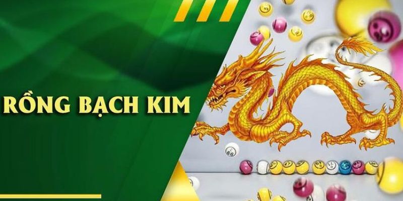 Nền tảng Rồng Bạch Kim